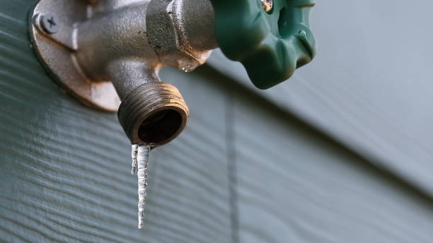 Best Local Plumber Services  in Honokaa, HI