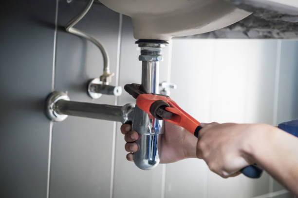 Best Plumbing Inspection Services  in Honokaa, HI