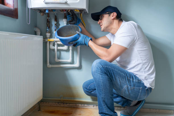Best Leak Detection Services  in Honokaa, HI