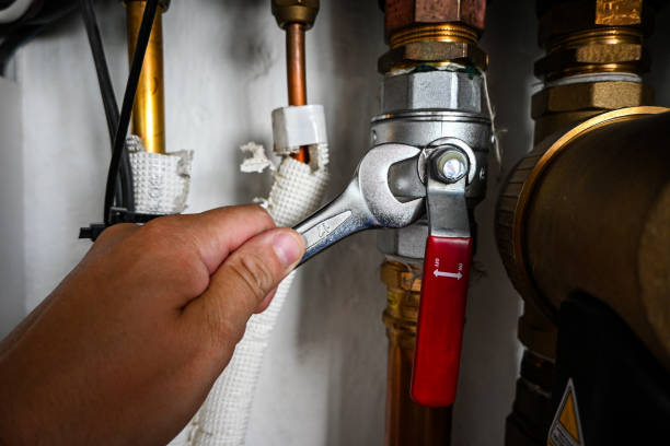 Best Residential Plumbing Services  in Honokaa, HI